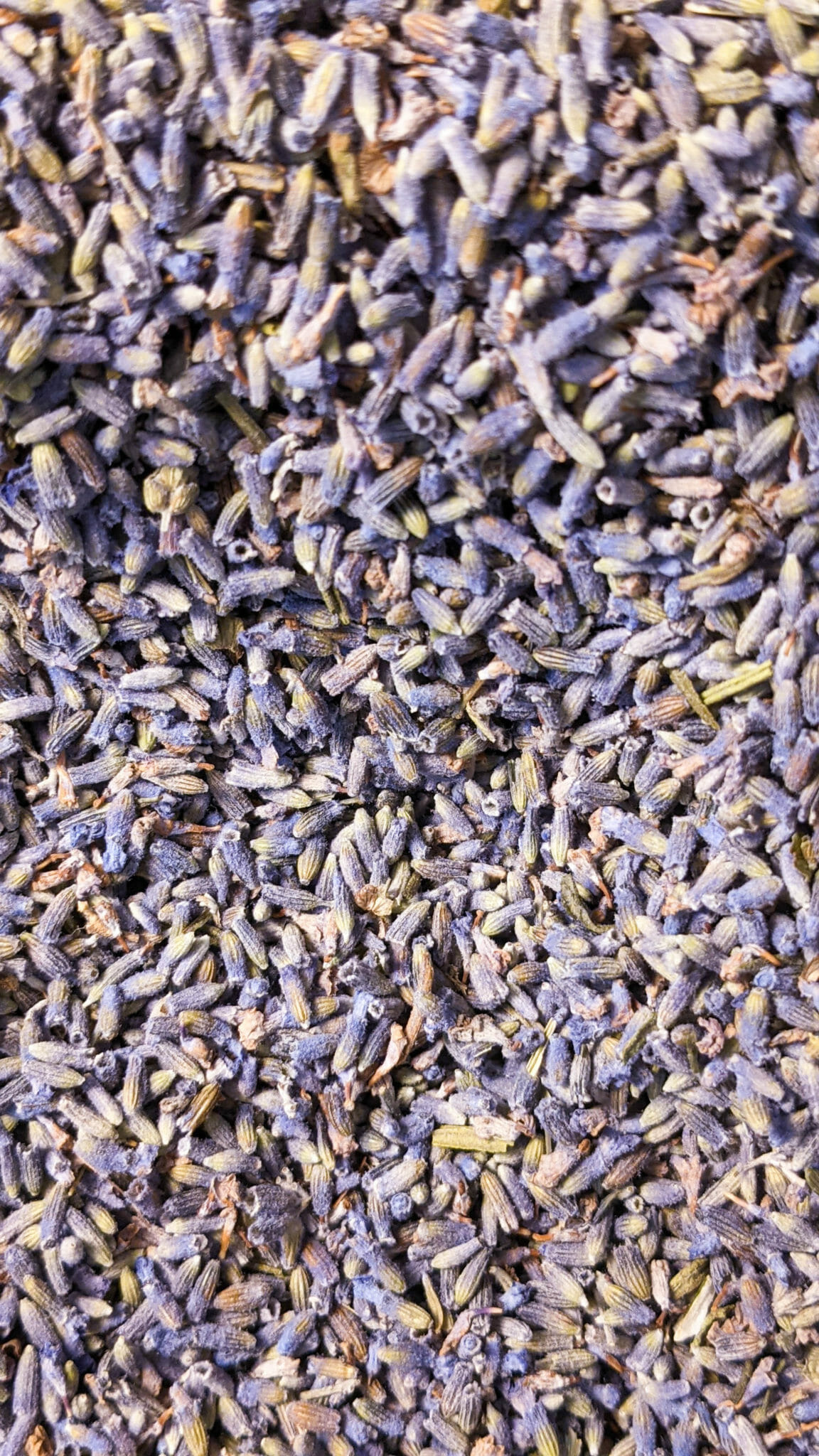 Lavender texture (1 of 2)